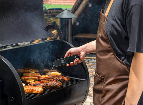 Typhur InstaProbe Core Meat Thermometer 