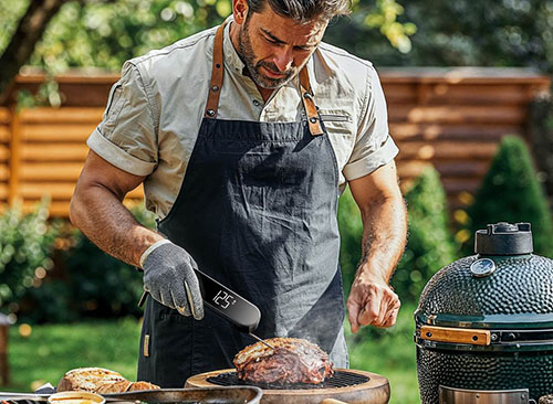 Typhur InstaProbe Core Meat Thermometer 