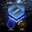 Advanced H.265+ Video Format