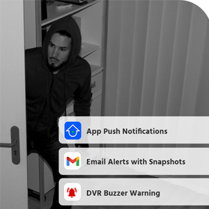 Customized Motion Detection Alerts