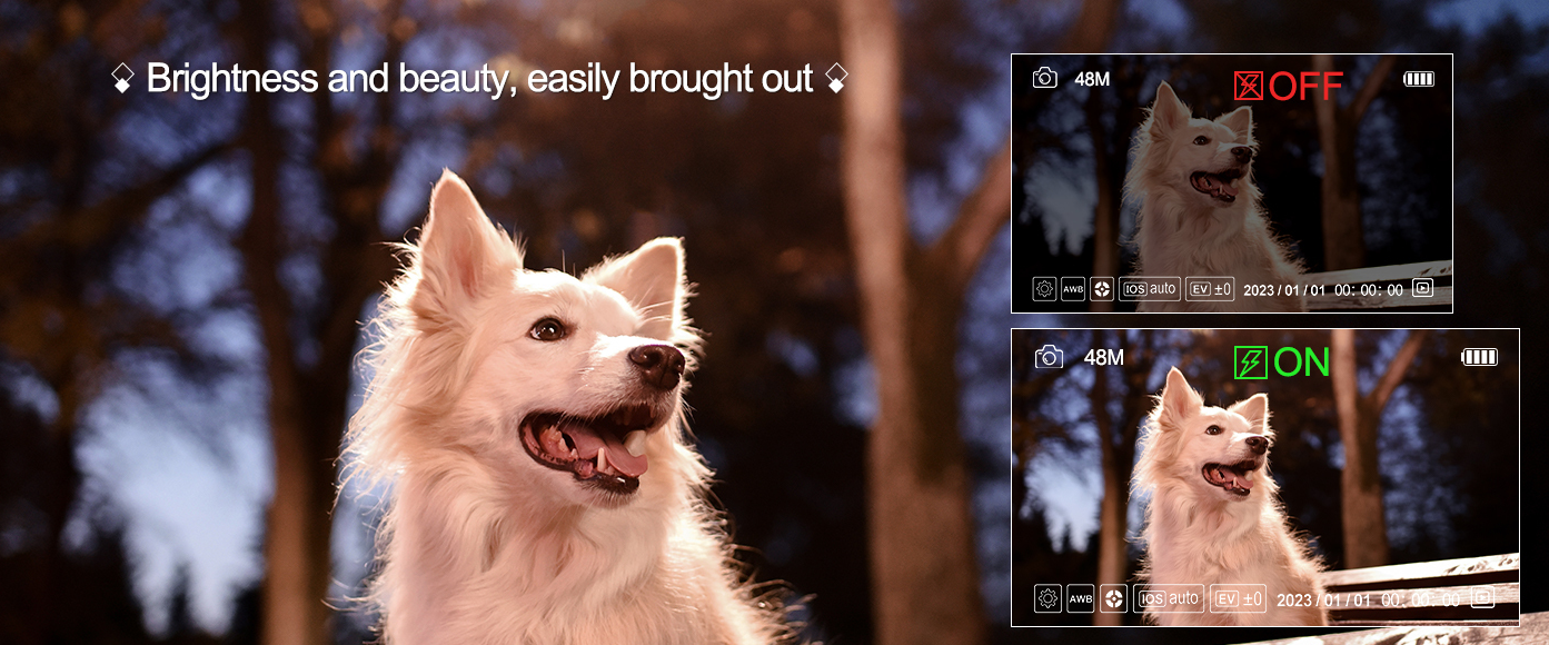 Powerful fill light instantly brightens dark shots, presenting clear, bright subjects after dark.