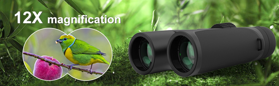 auto focus binoculars