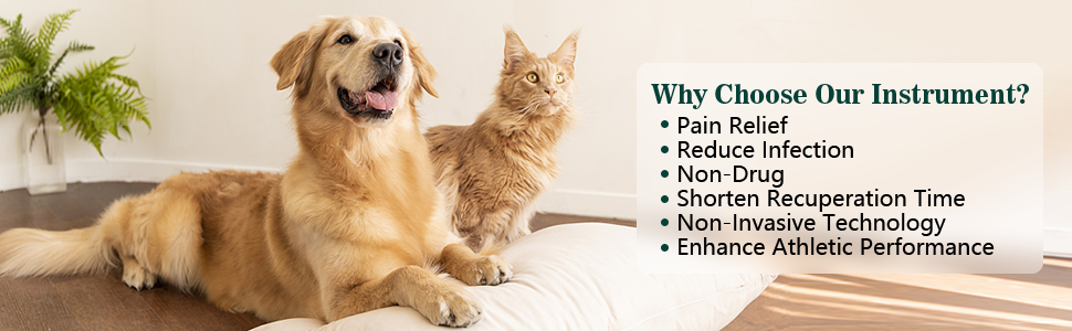 Why Choose Our Pet Laser Therapy Device?