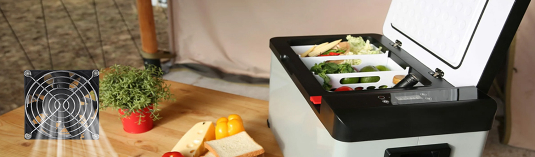 image for this item