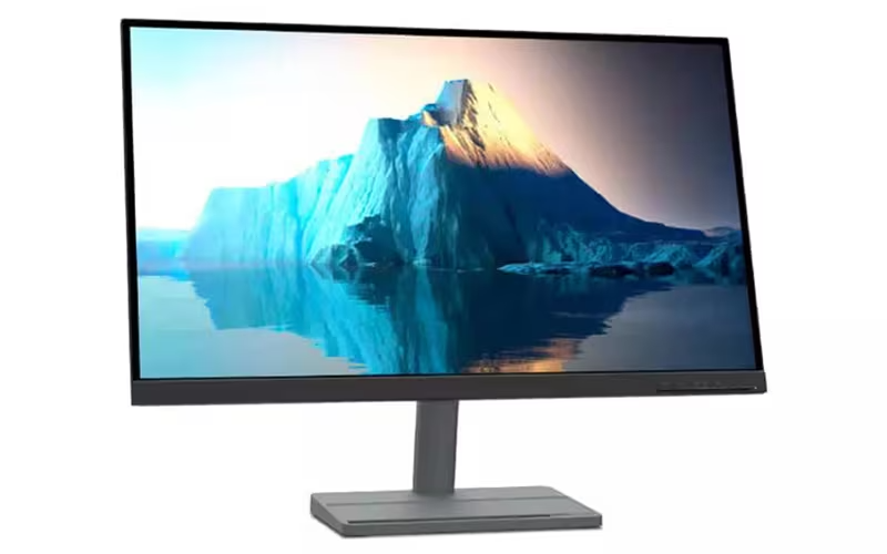 A Chic and Efficient Monitor for Leisure and Work