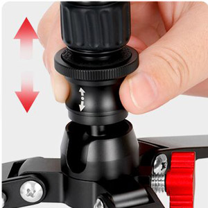 image for this item