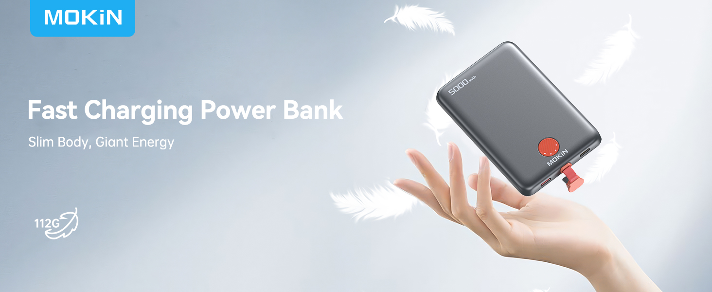 Fast Charging Power Bank