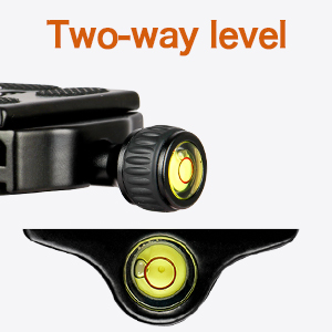 image for this item