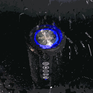 Ortizan X10 Portable Bluetooth Speaker (1st Gen)