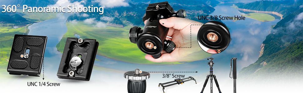 image for this item
