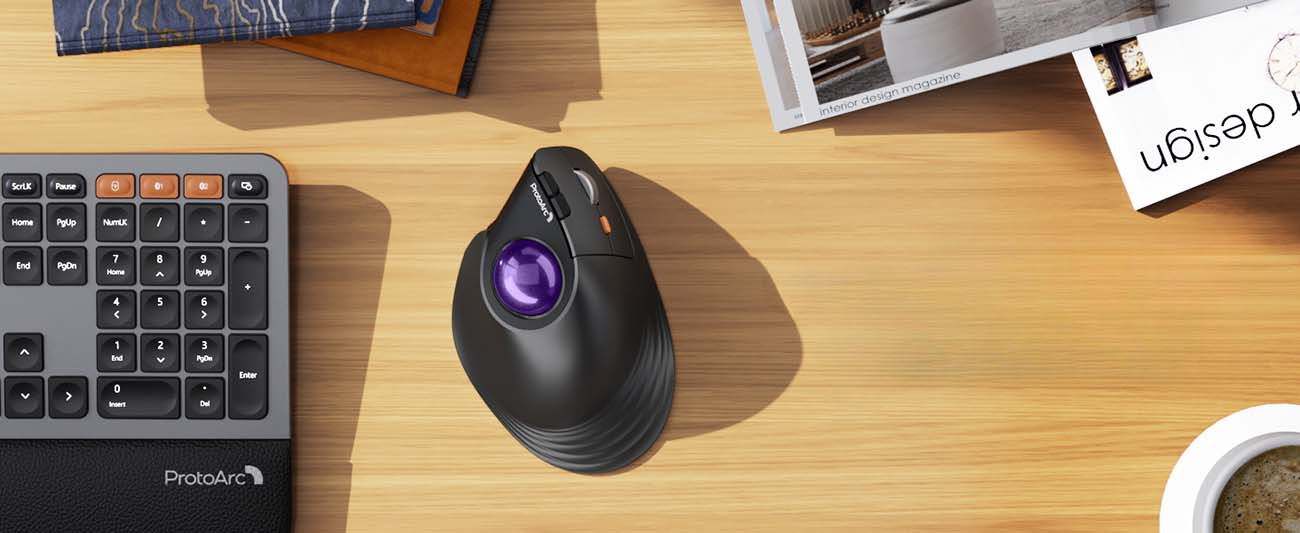 ProtoArc® EM05 NL Ergonomic Vertical Wireless Trackball Mouse