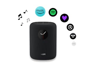 WiiM Sound Smart Speaker 