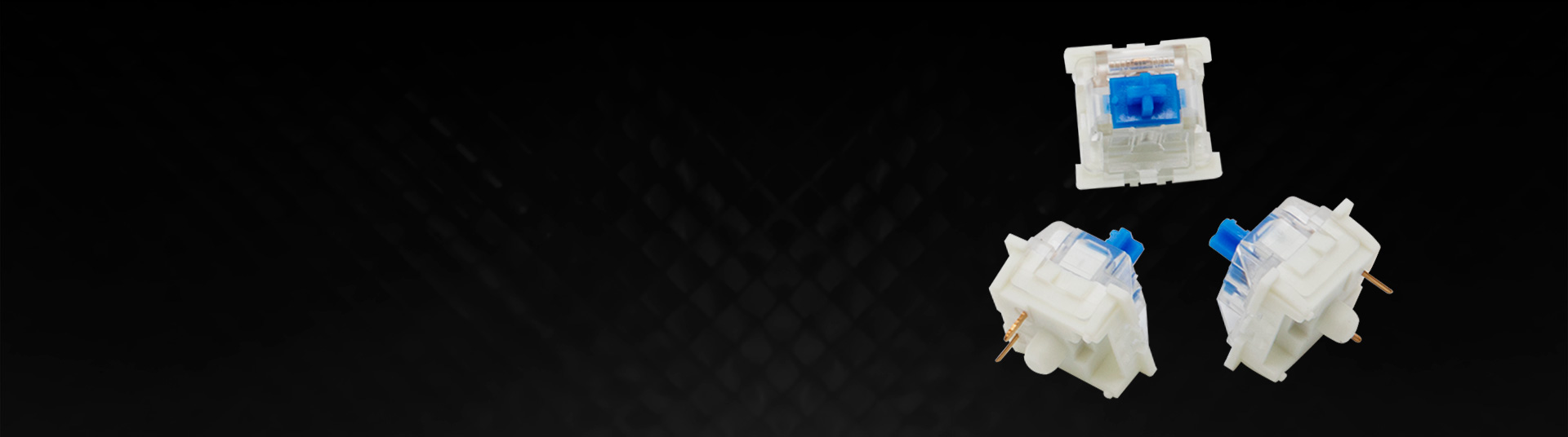 Keys / Switches feature