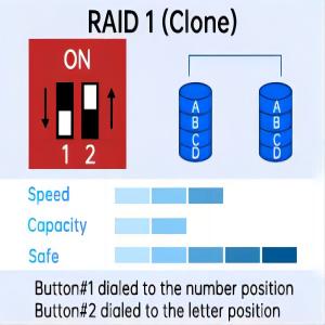RAID 1 Model