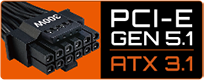 GIGABYTE P650G PG5 Power Supply