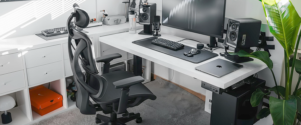 Autonomous Office Erogchair X Office