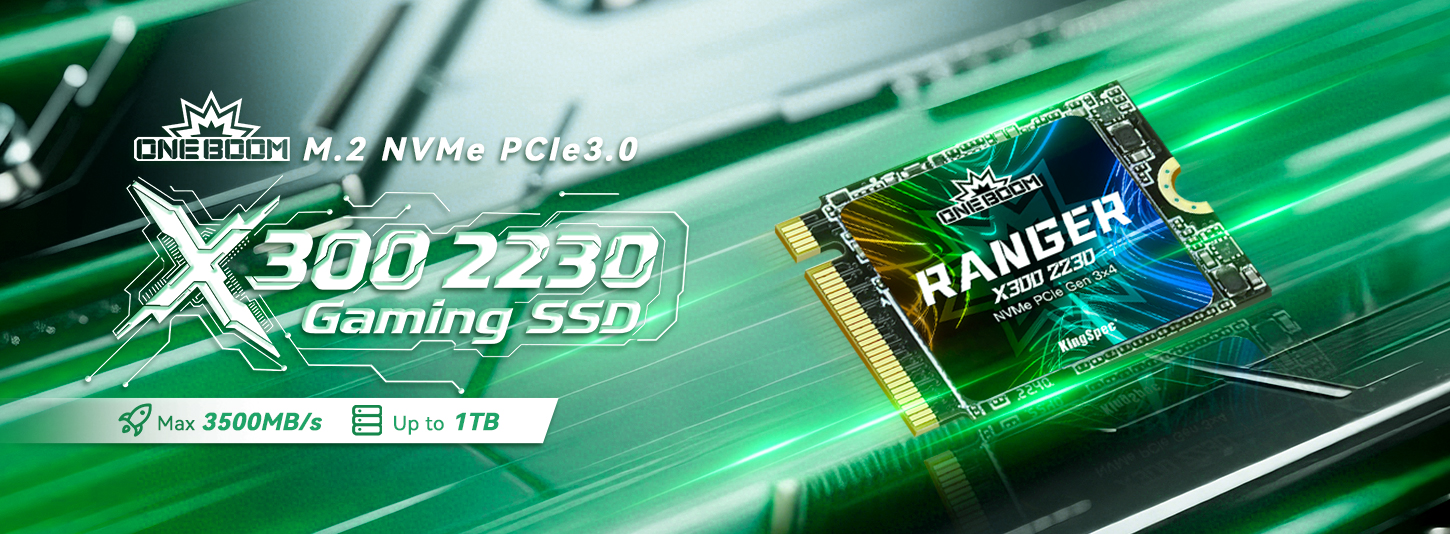 X300 2230 Gaming SSD