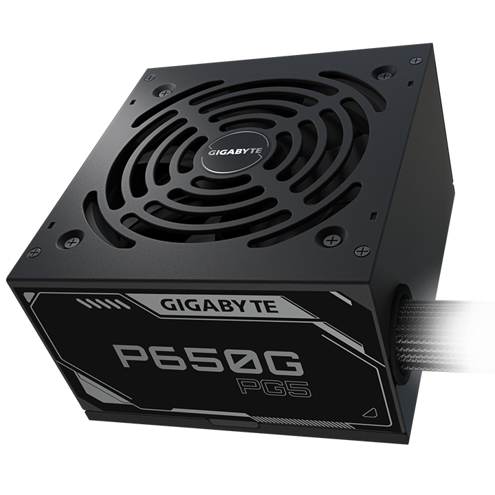 GIGABYTE P650G PG5 Power Supply