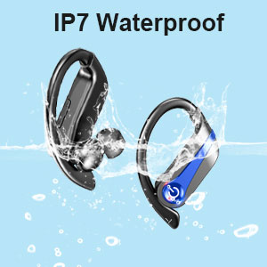 image for this item