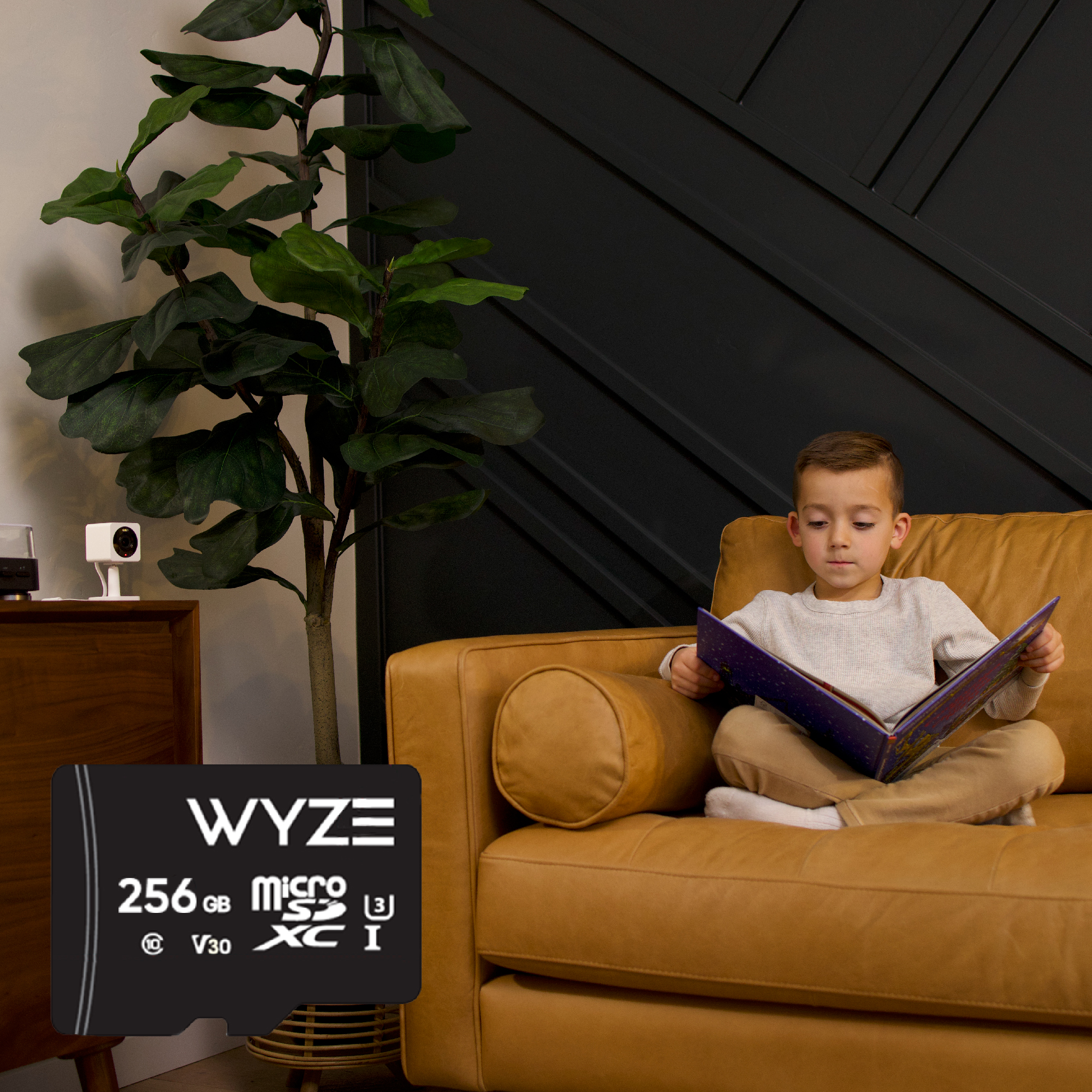 Wyze Cam OG microSD