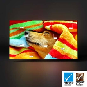 Expert-Validated Colors