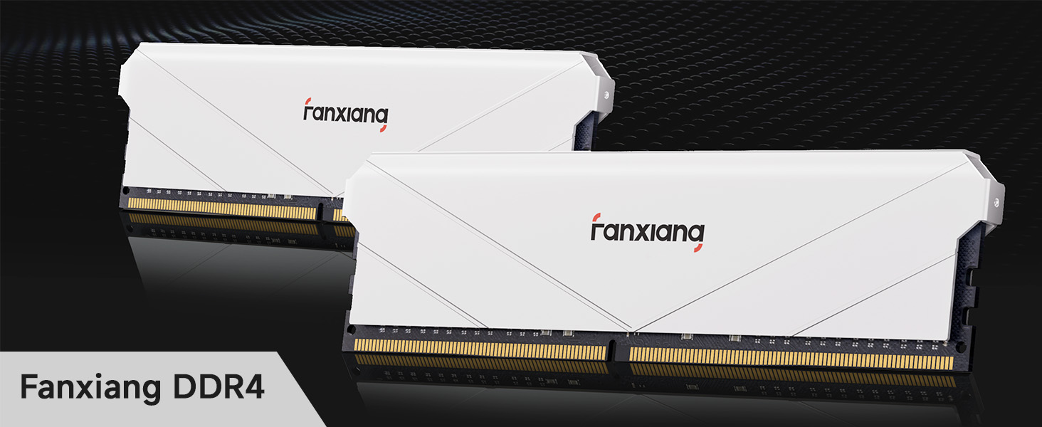 Fanxiang 32GB (2 x16GB ) 288-Pin PC RAM DDR4 3600 (PC4 28800) for