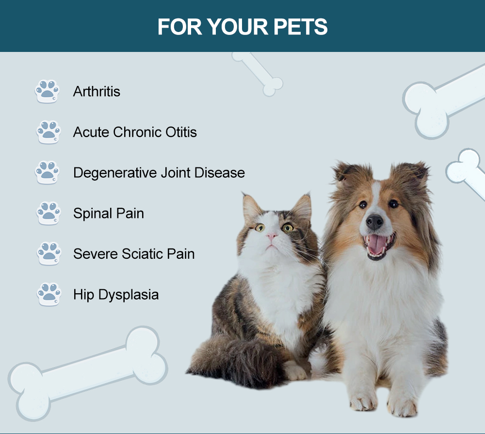 Pet Laser Therapy for Joint and Muscle Care