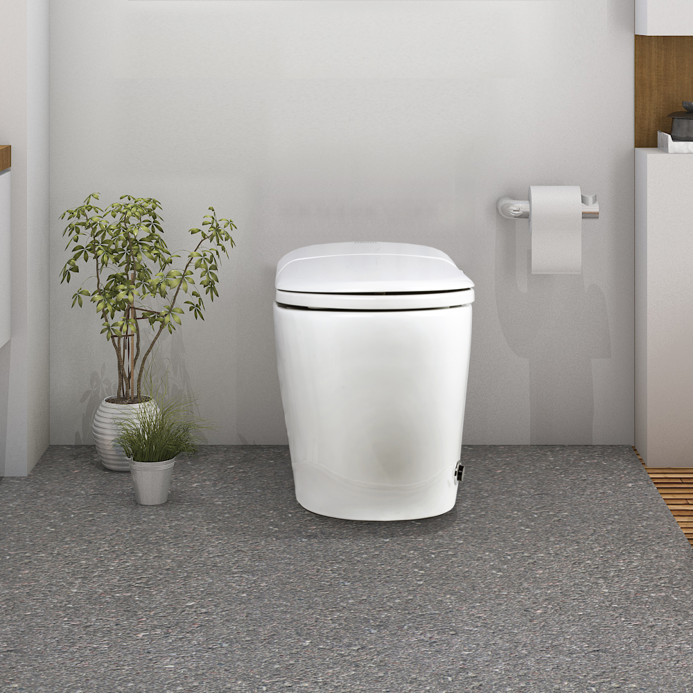 Hygienic smart toilet