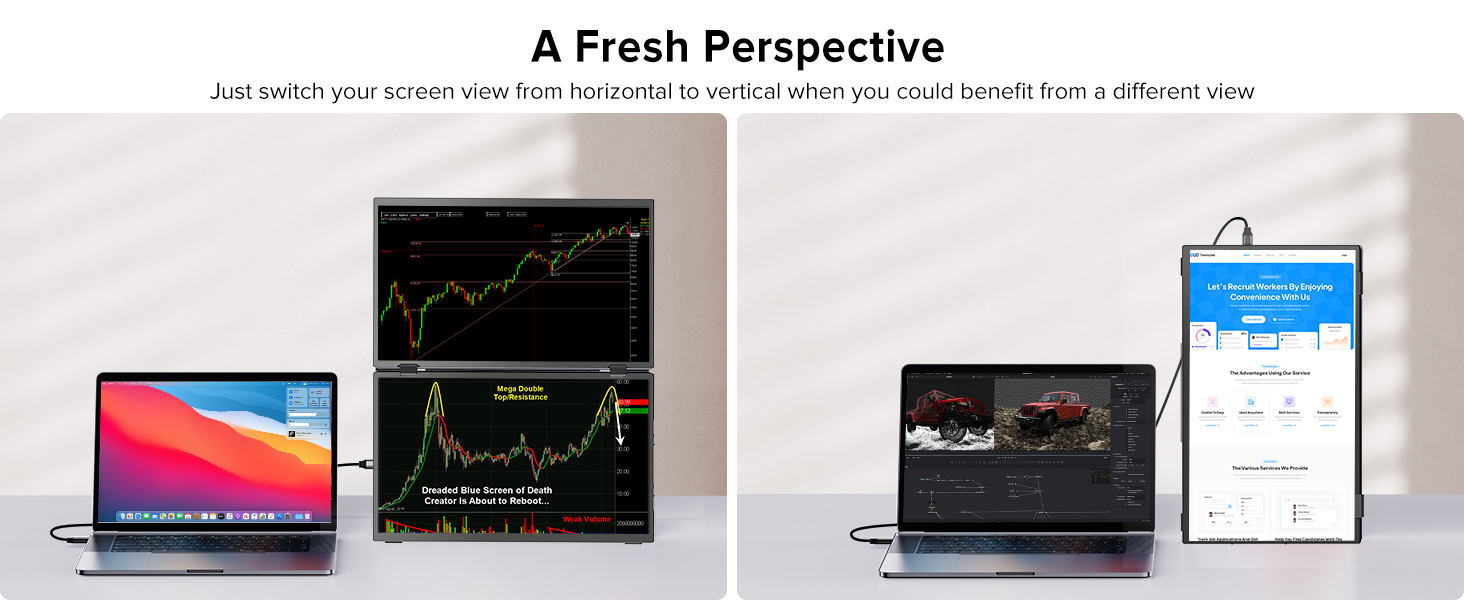 Dual Portable Monitor