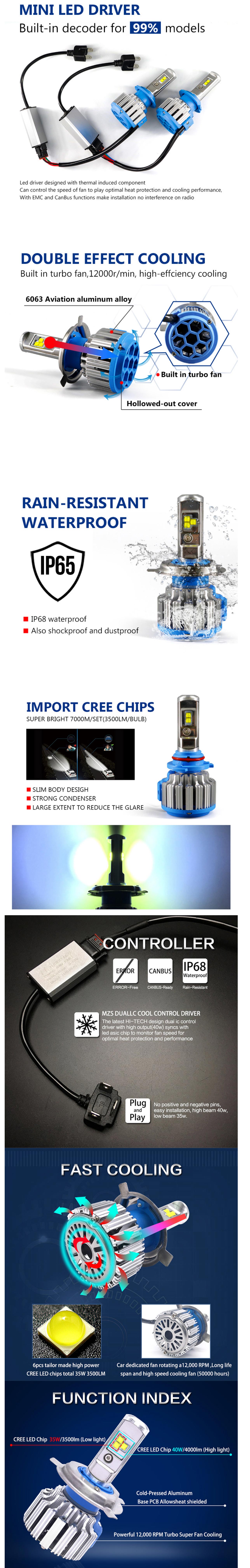 image for this item