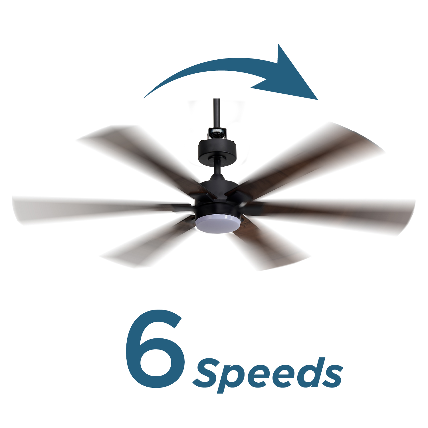 image for this item