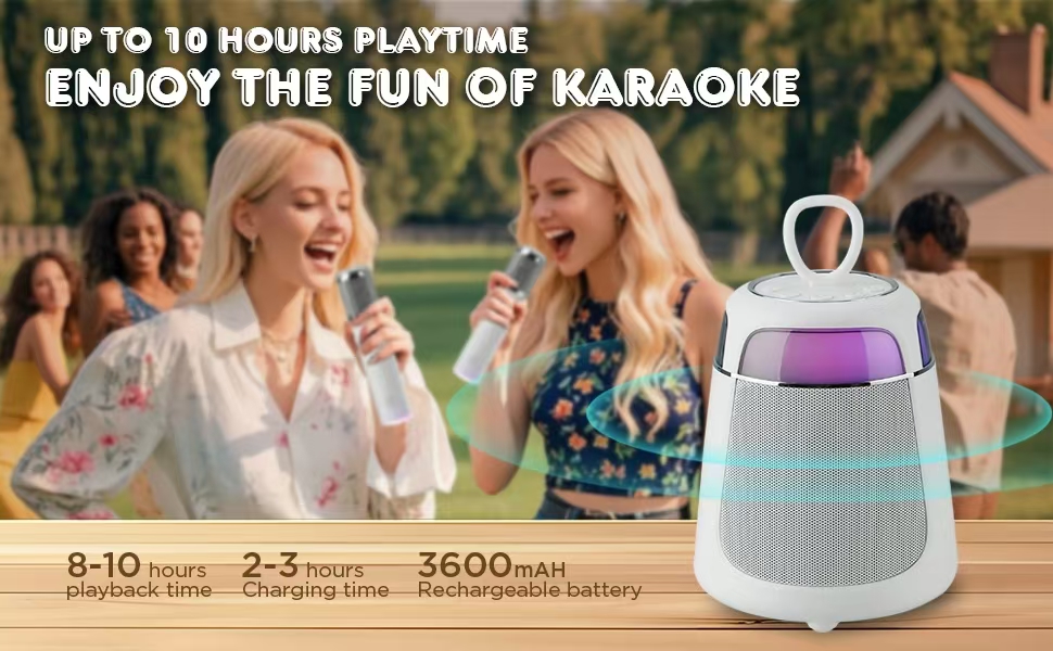 wireless karake speaker with  two wireless microphone