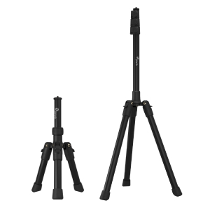 image for this item