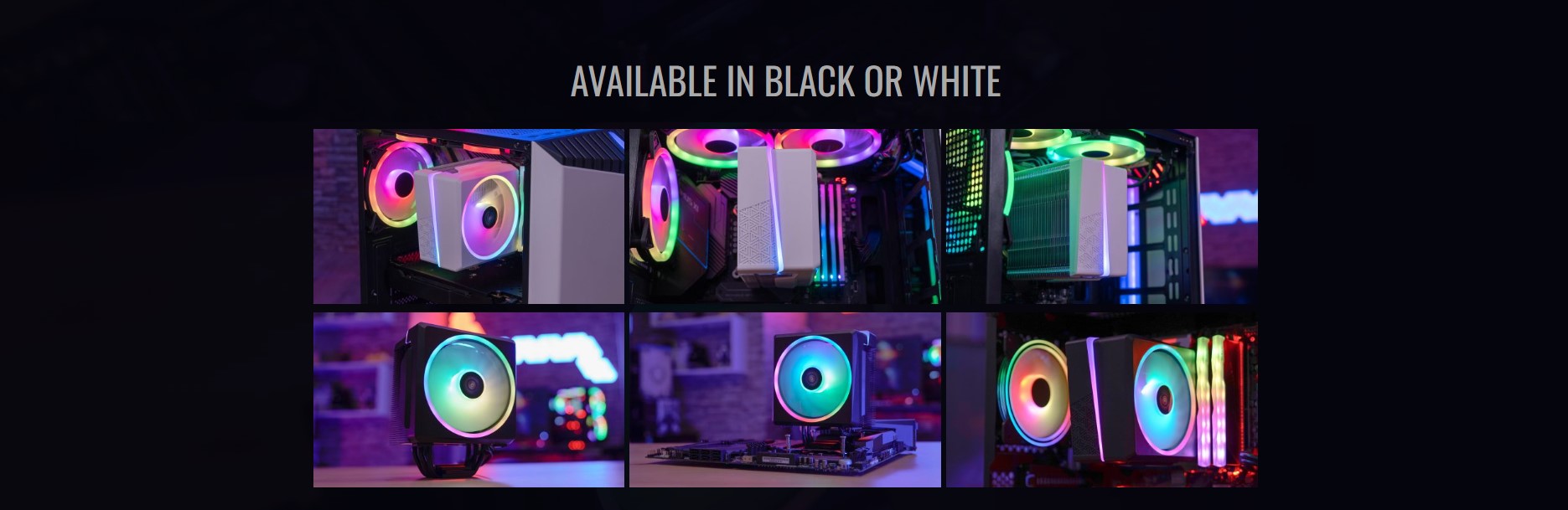 image for this item
