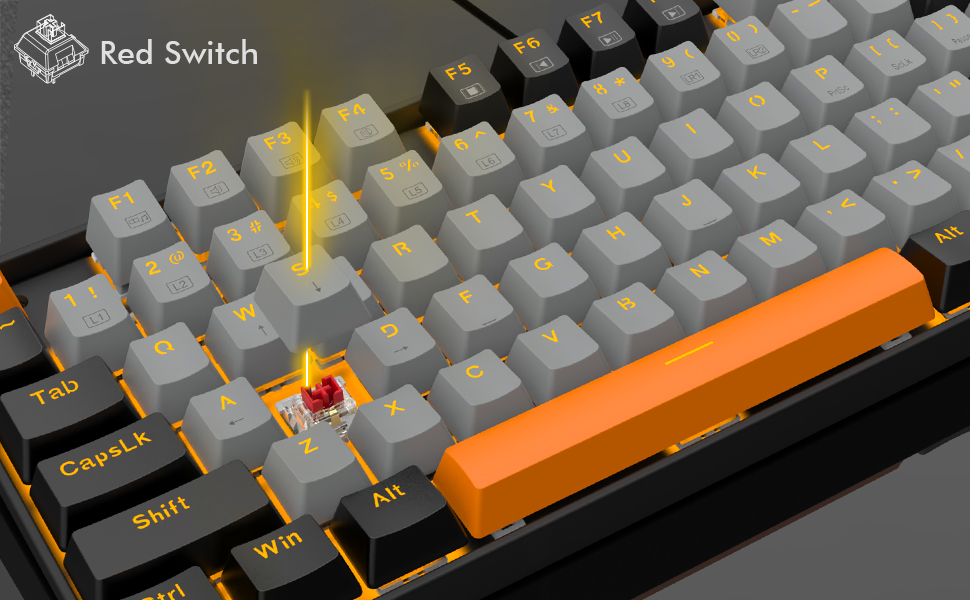 image for this item