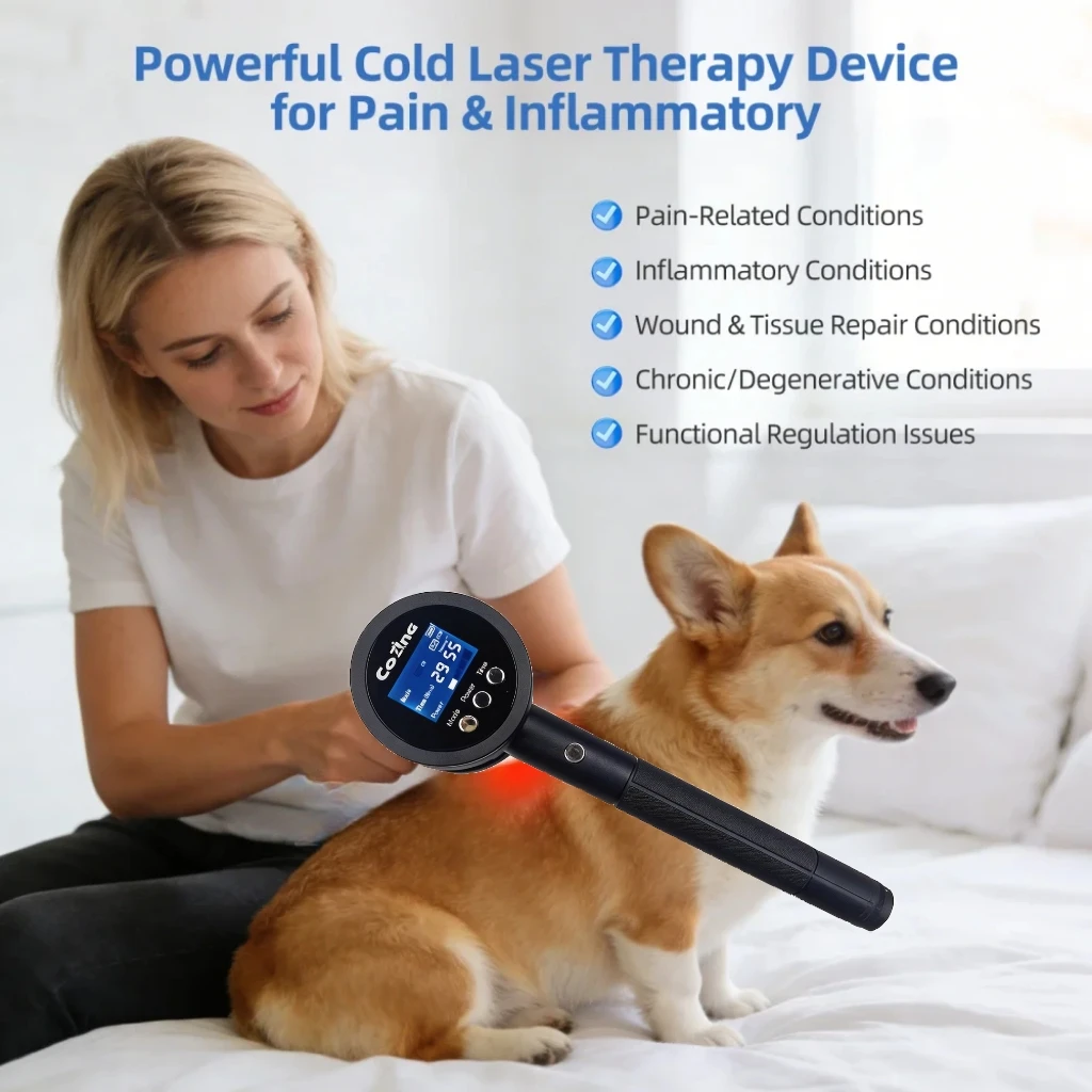 Relieve the pain of dogs