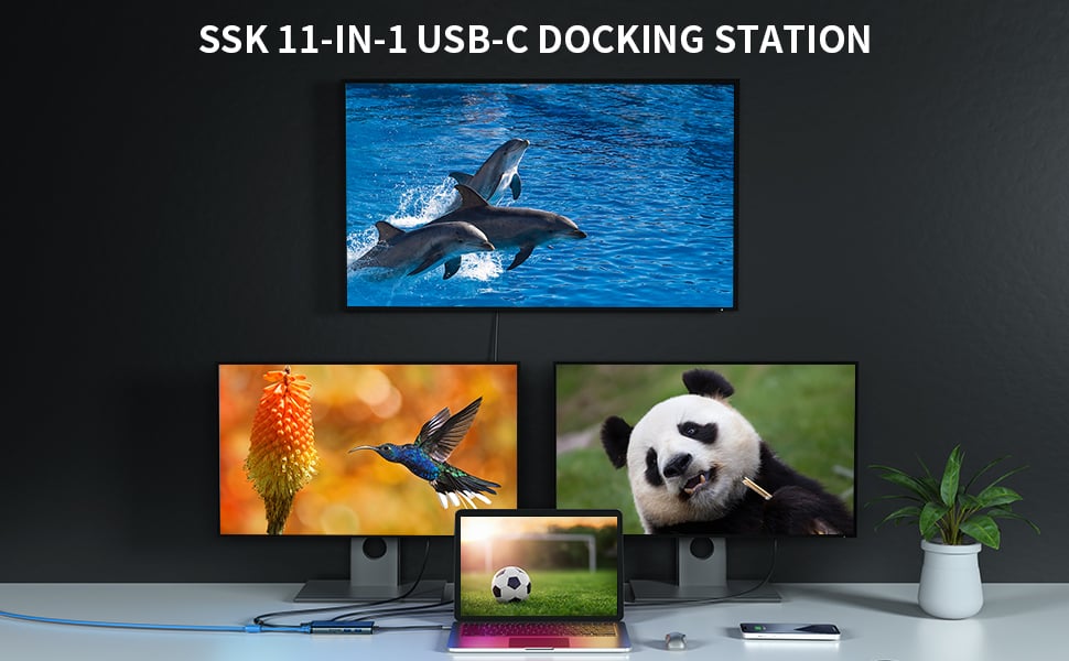 Docking Station Dual Monitor