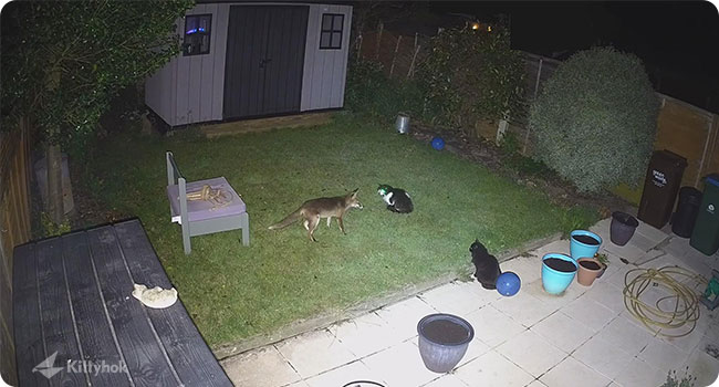 security camera color night vision