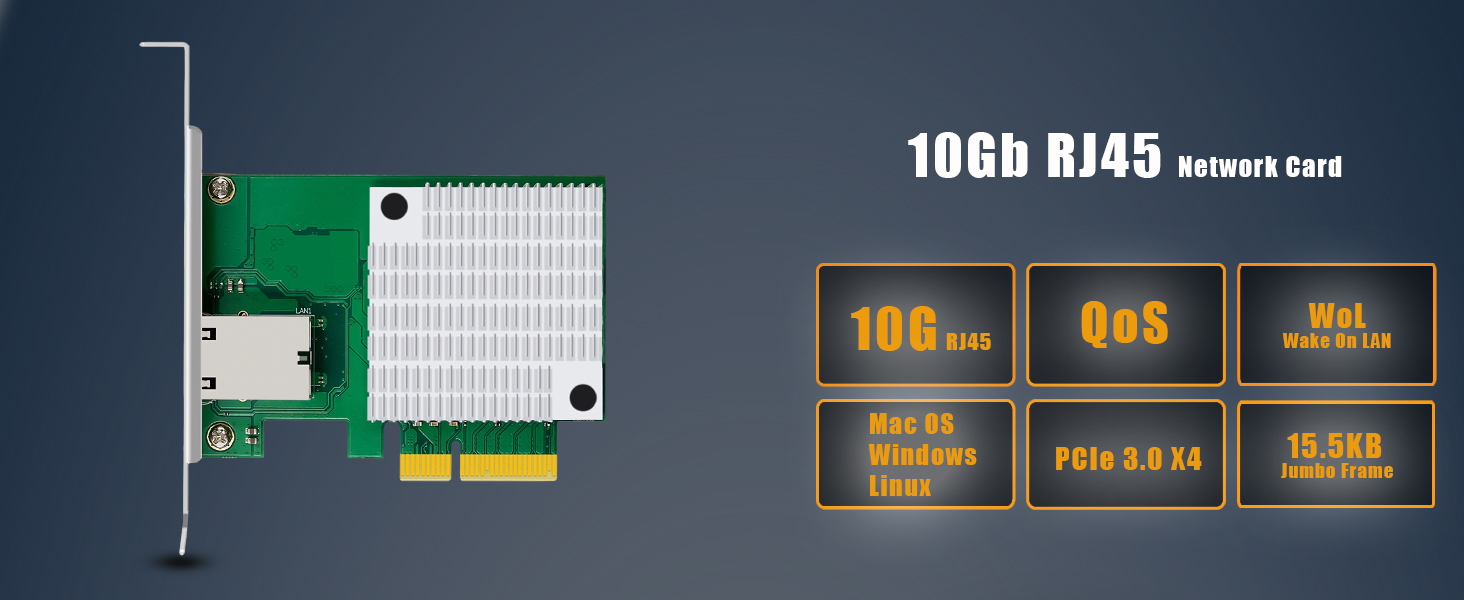 10Gb Network Card