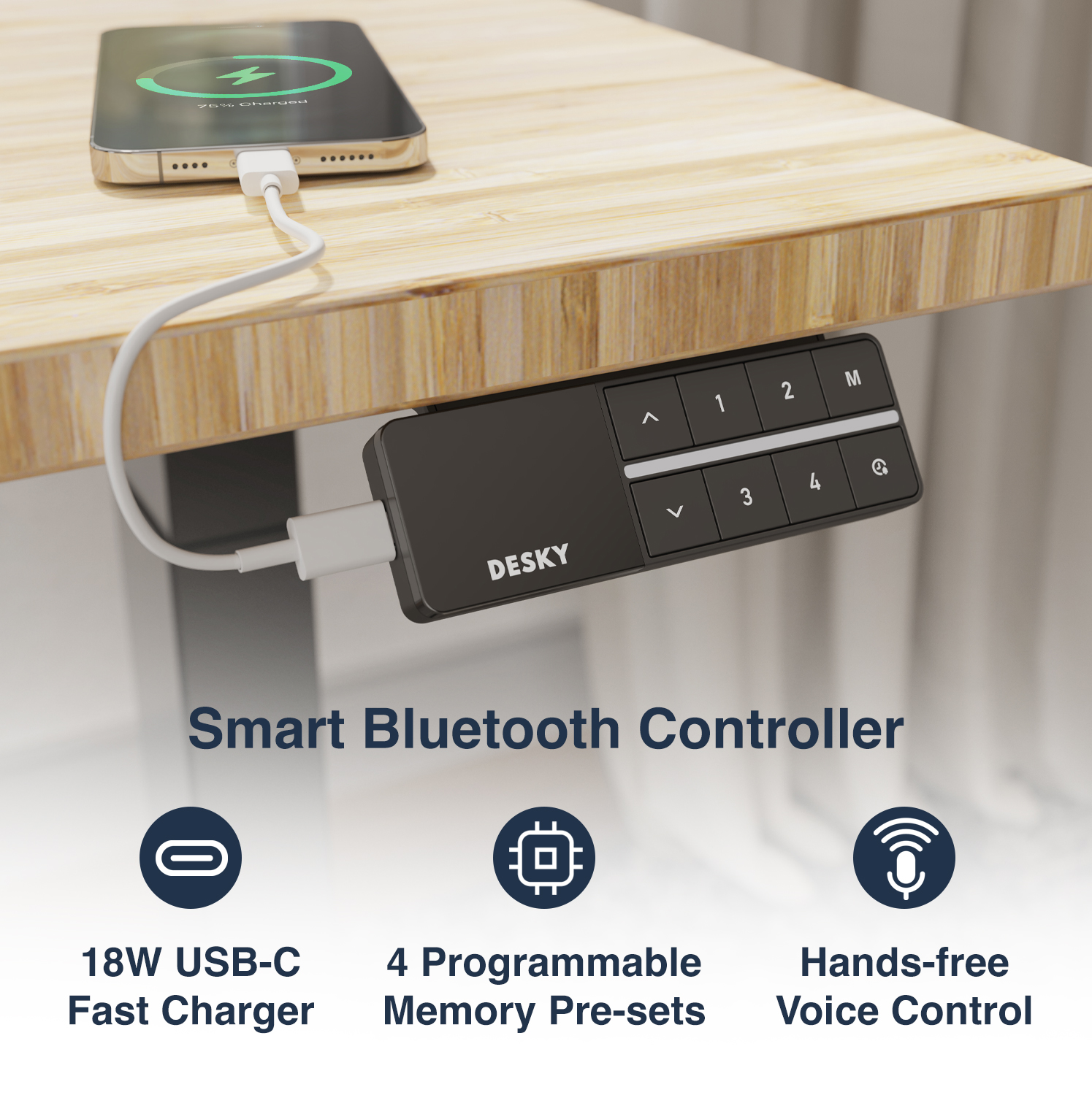 Bluetooth &amp; Voice Control