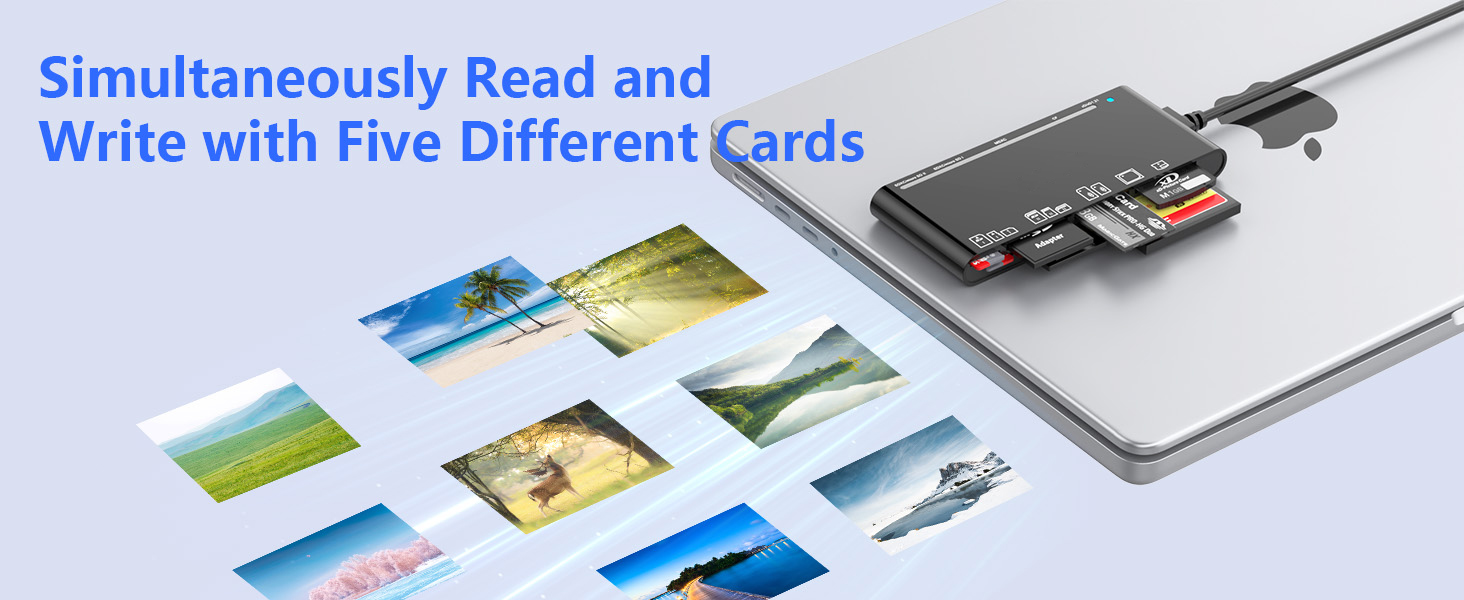 USB 3.0/USB C Multi SD Card Reader
