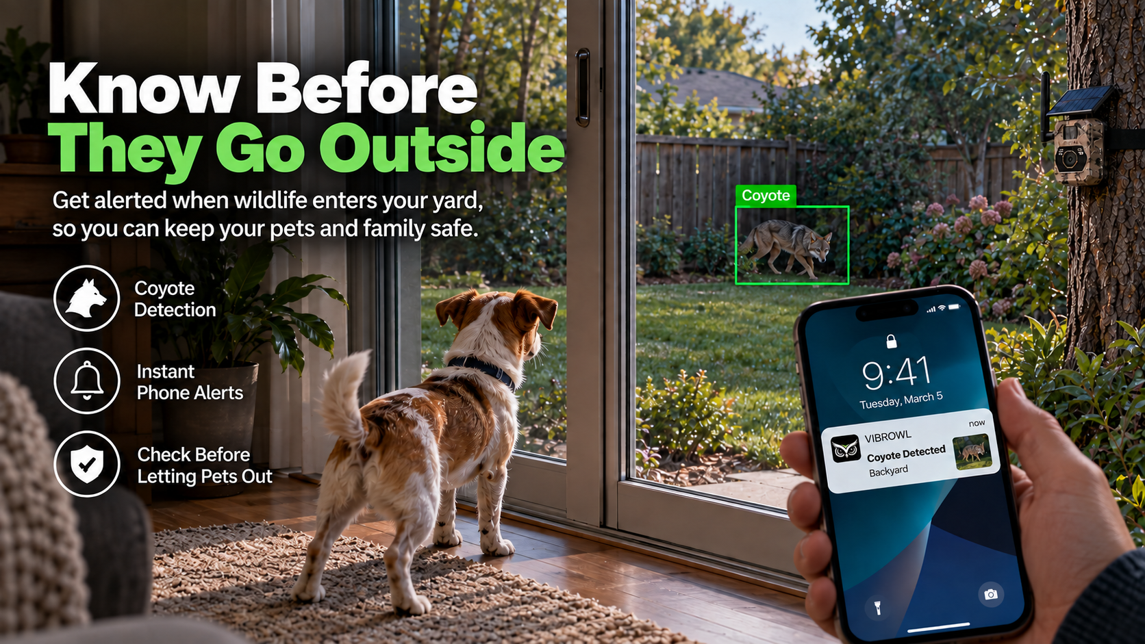 Coyote Detection, Instant Phone Alerts, Backyard Wildlife Monitoring, Pet Safety, AI Camera