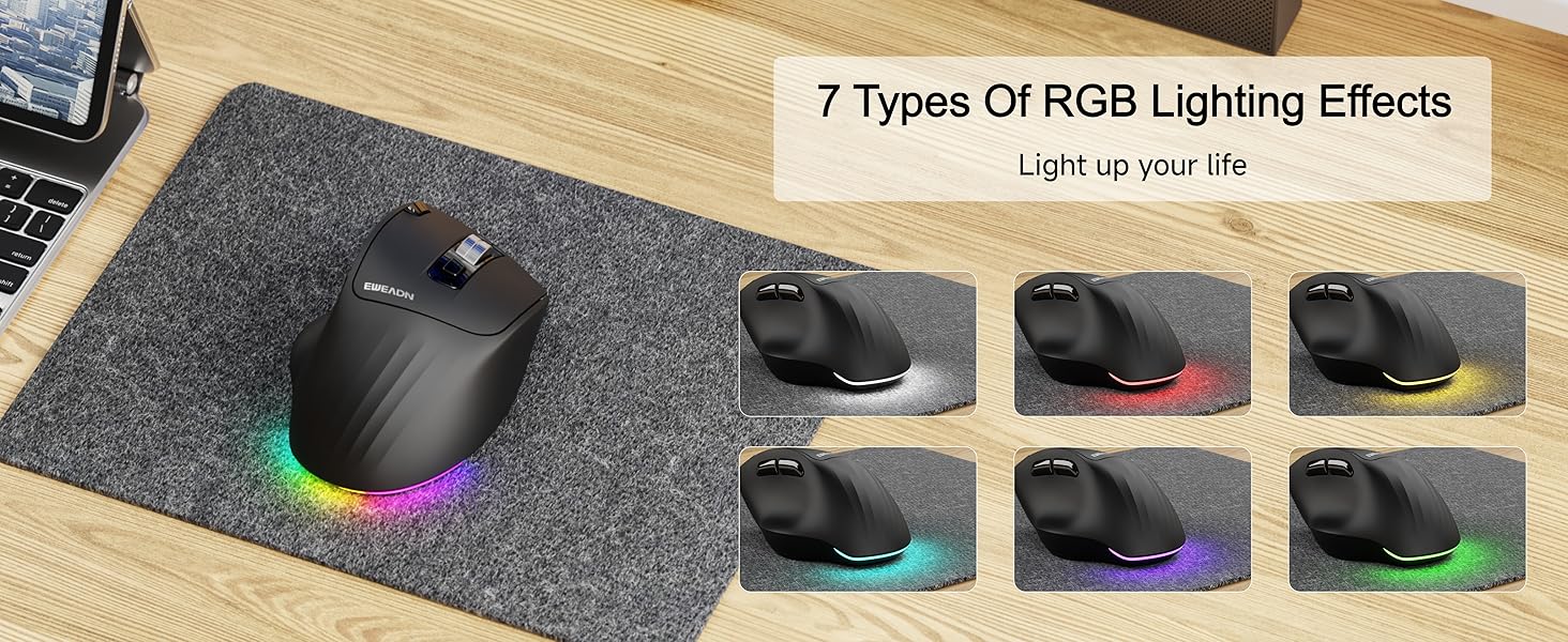 Ergonomic Mouse, Wireless Computer Mouse (BT&2.4G) for Work/Office, 5 Adjustable 4000 DPI