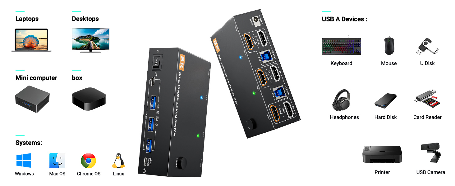 2 Display Model for the Dual Monitor KVM