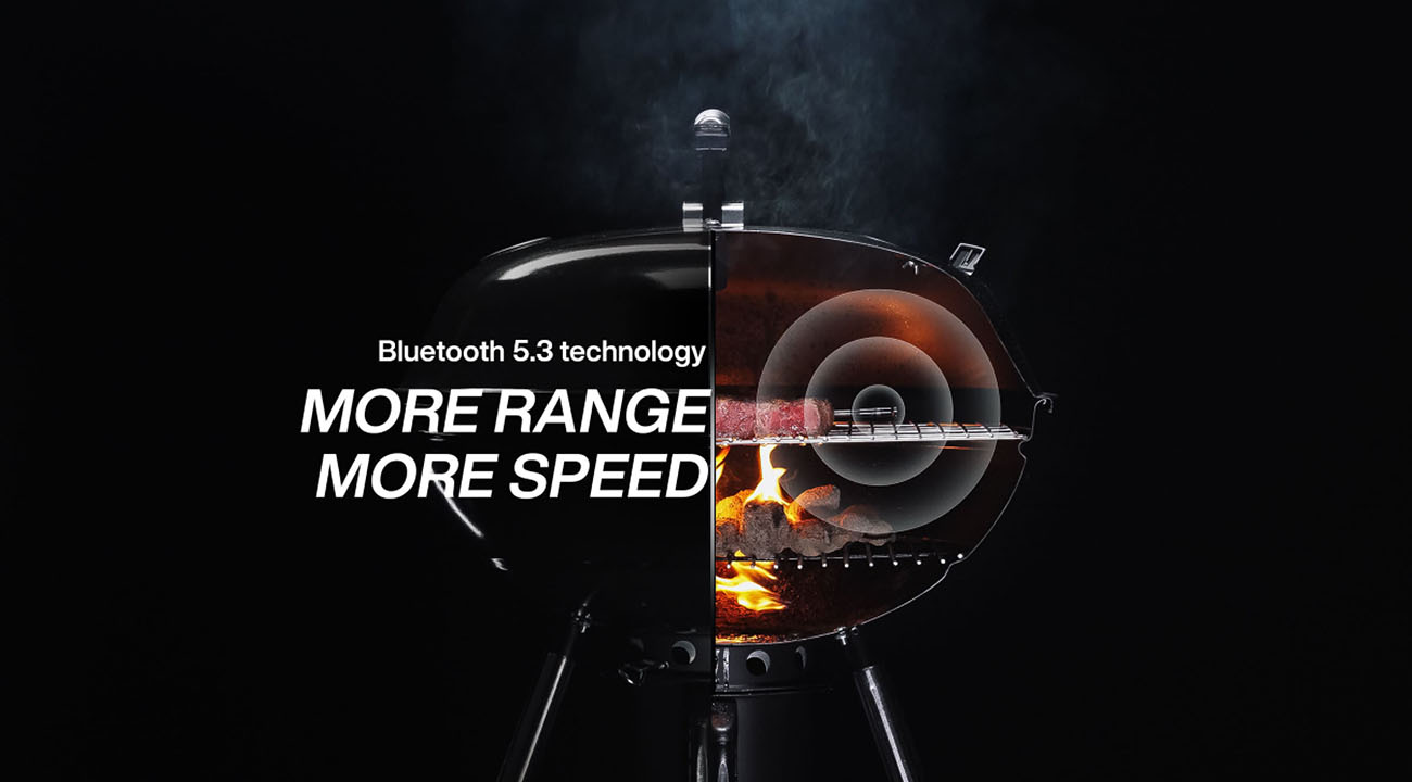 Typhur Sync Dual Smart WiFi Wireless Meat Thermometer