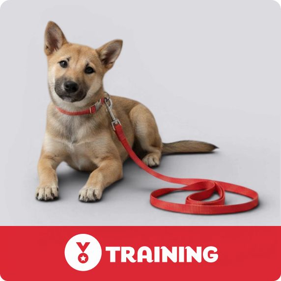 PetSmart E-Gift Card
