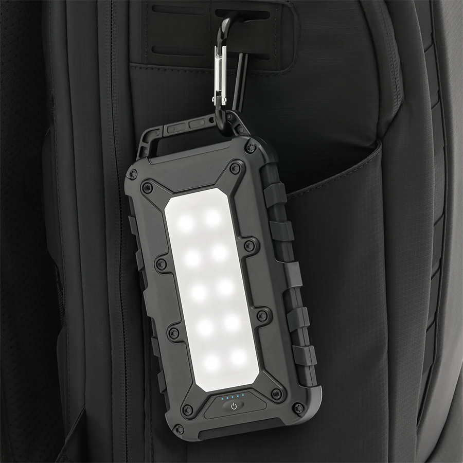 Lion Energy Lion Cub Portable Power Bank for phone, earbuds, tablets