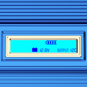 image for this item