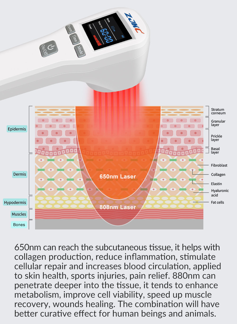 Handheld Cold Laser Therapy Device
