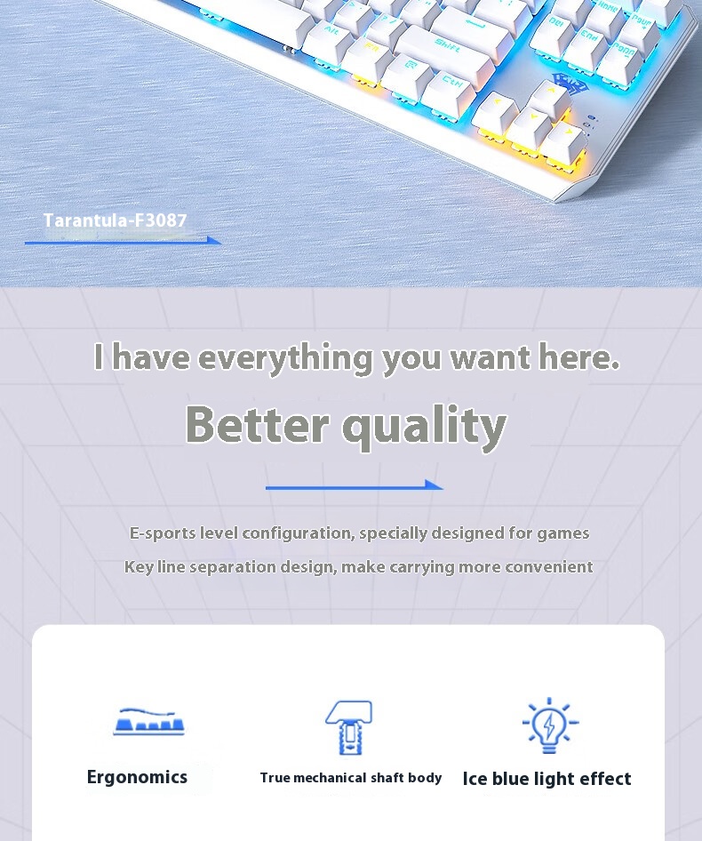 F3087 Gray-Black Dual